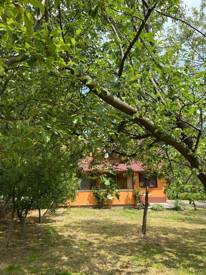 Ab'S Rustic Cabin Dejani Luaran gambar
